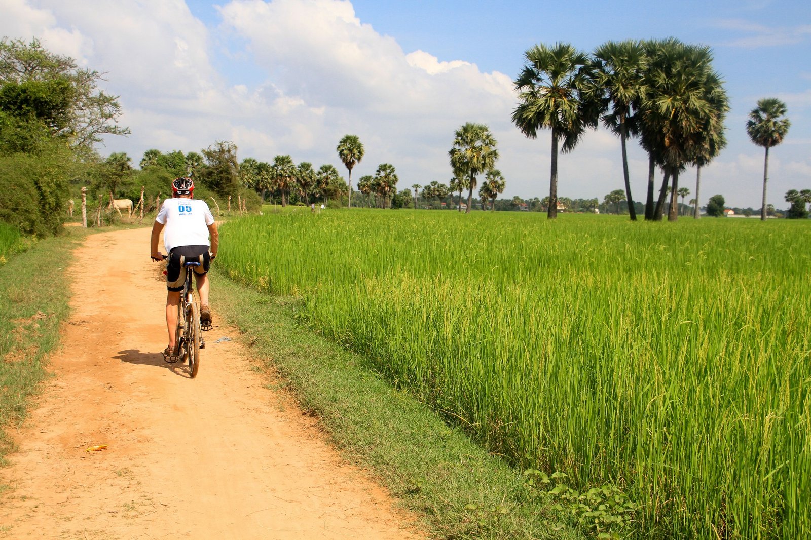 Cambodia to Vietnam Cycling Holiday